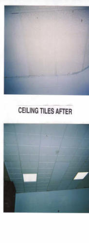 eagle ceiling tiles after